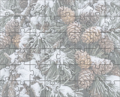 Hard Jigsaw Puzzle with Rotation