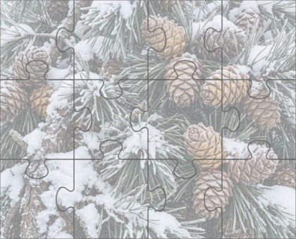 Easy Jigsaw Puzzle with Rotation