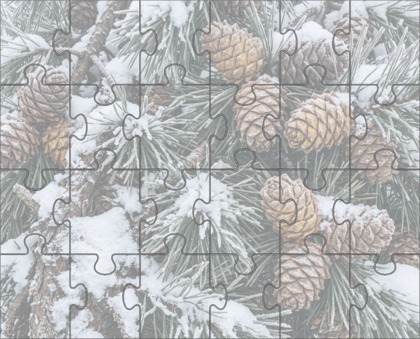 Medium Jigsaw Puzzle with Rotation