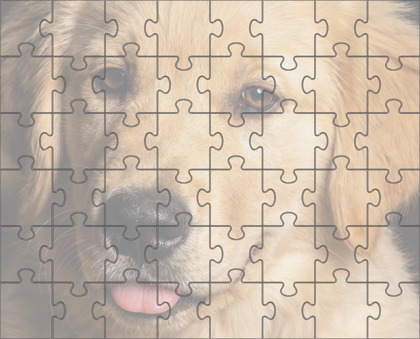 Hard Jigsaw Puzzle with Rotation