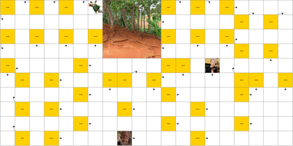 Тропический чернозём