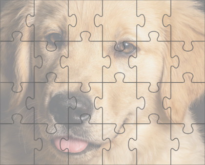 Medium Jigsaw Puzzle with Rotation