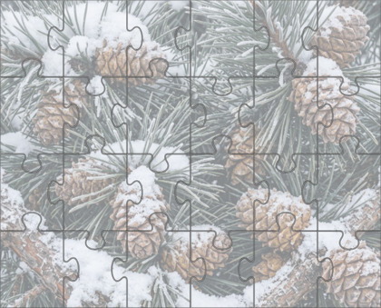 Medium Jigsaw Puzzle
