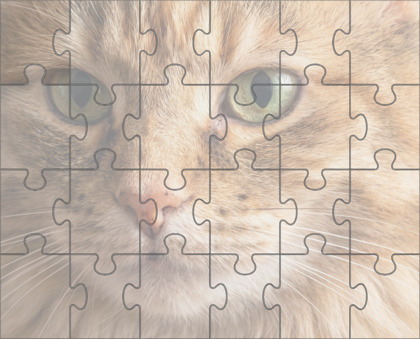 Medium Jigsaw Puzzle with Rotation