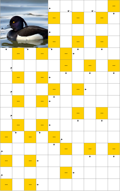 Водоплавающая птица