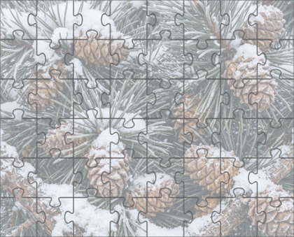 Hard Jigsaw Puzzle